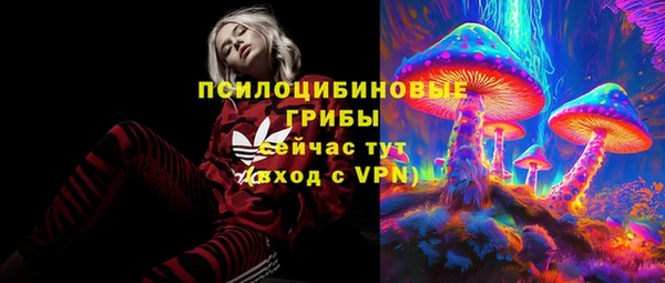 метадон Лагань