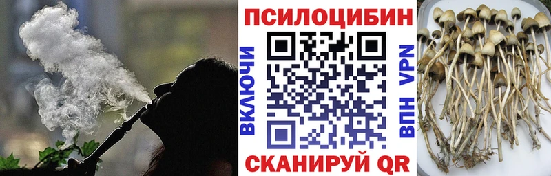Галлюциногенные грибы GOLDEN TEACHER  Мосальск 